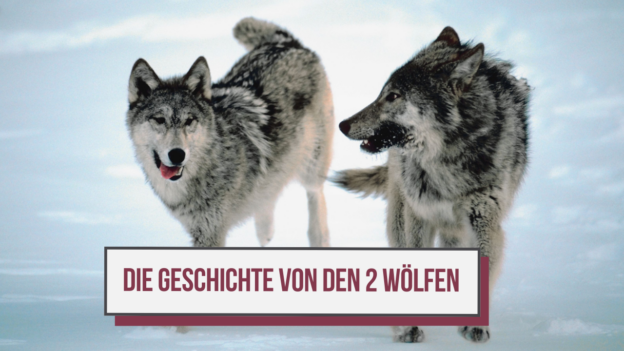Die Geschichte von den 2 Wölfen