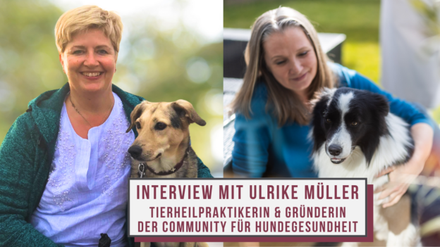 Ulrike Müller - Tierheilpraktikerin